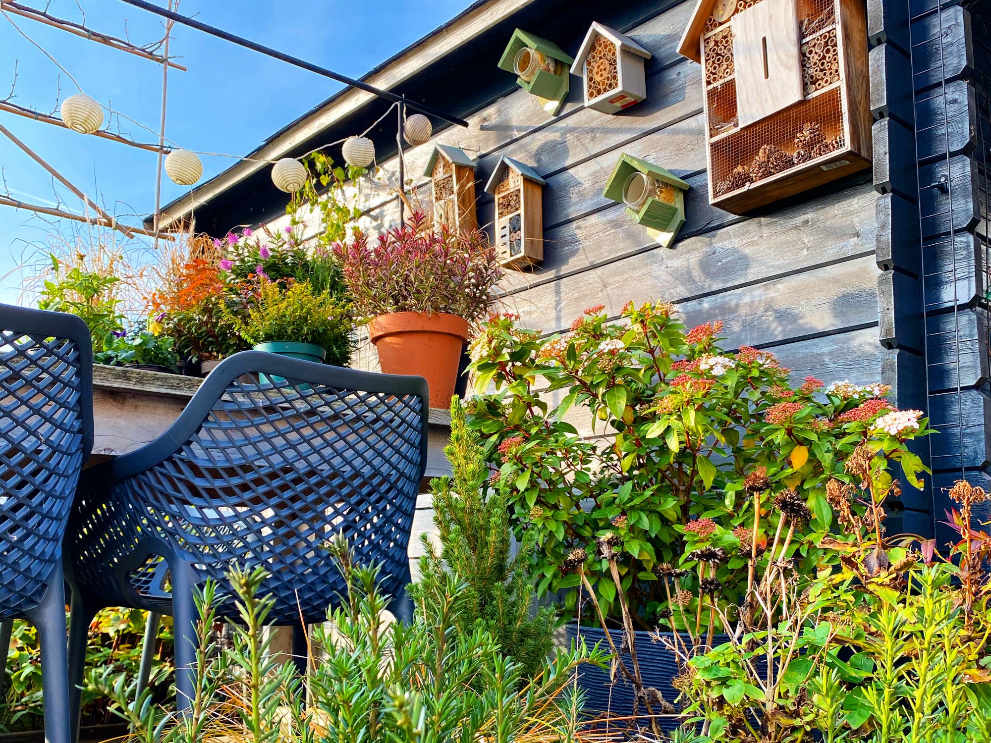 Tuinieren in potten om de tuin leiden