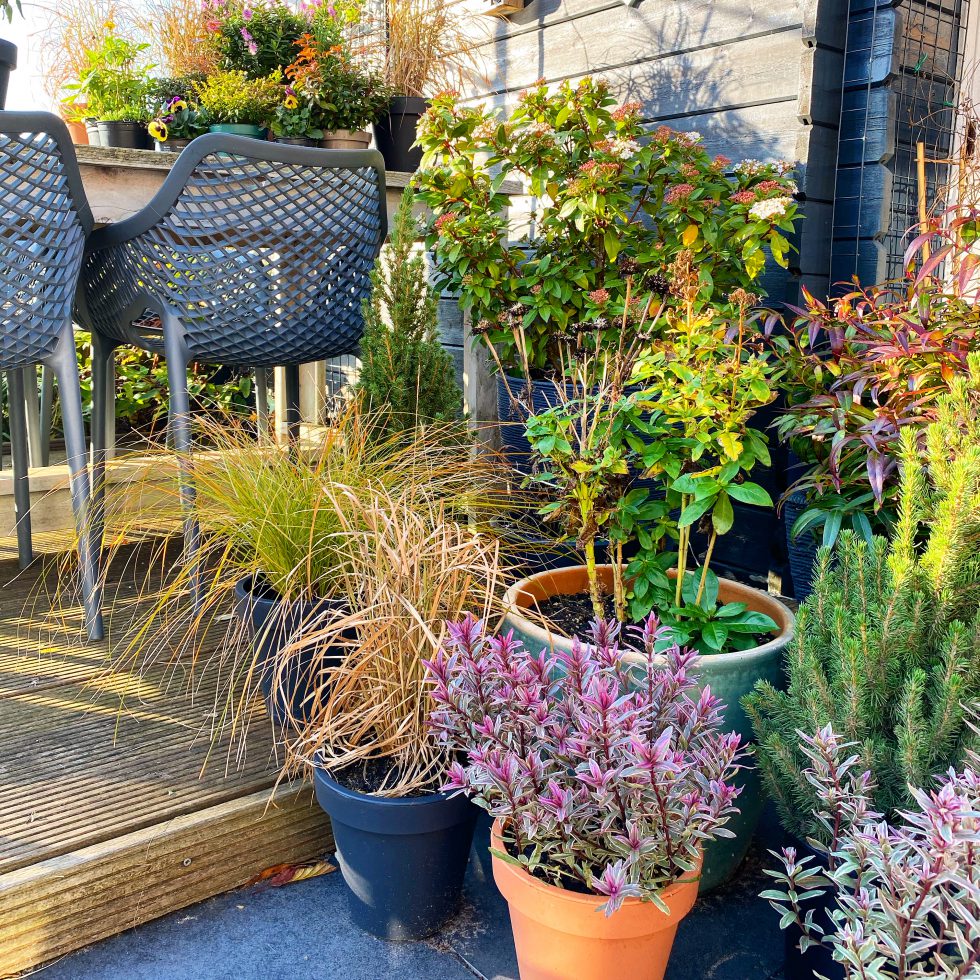 Tuinieren in potten Om de tuin leiden