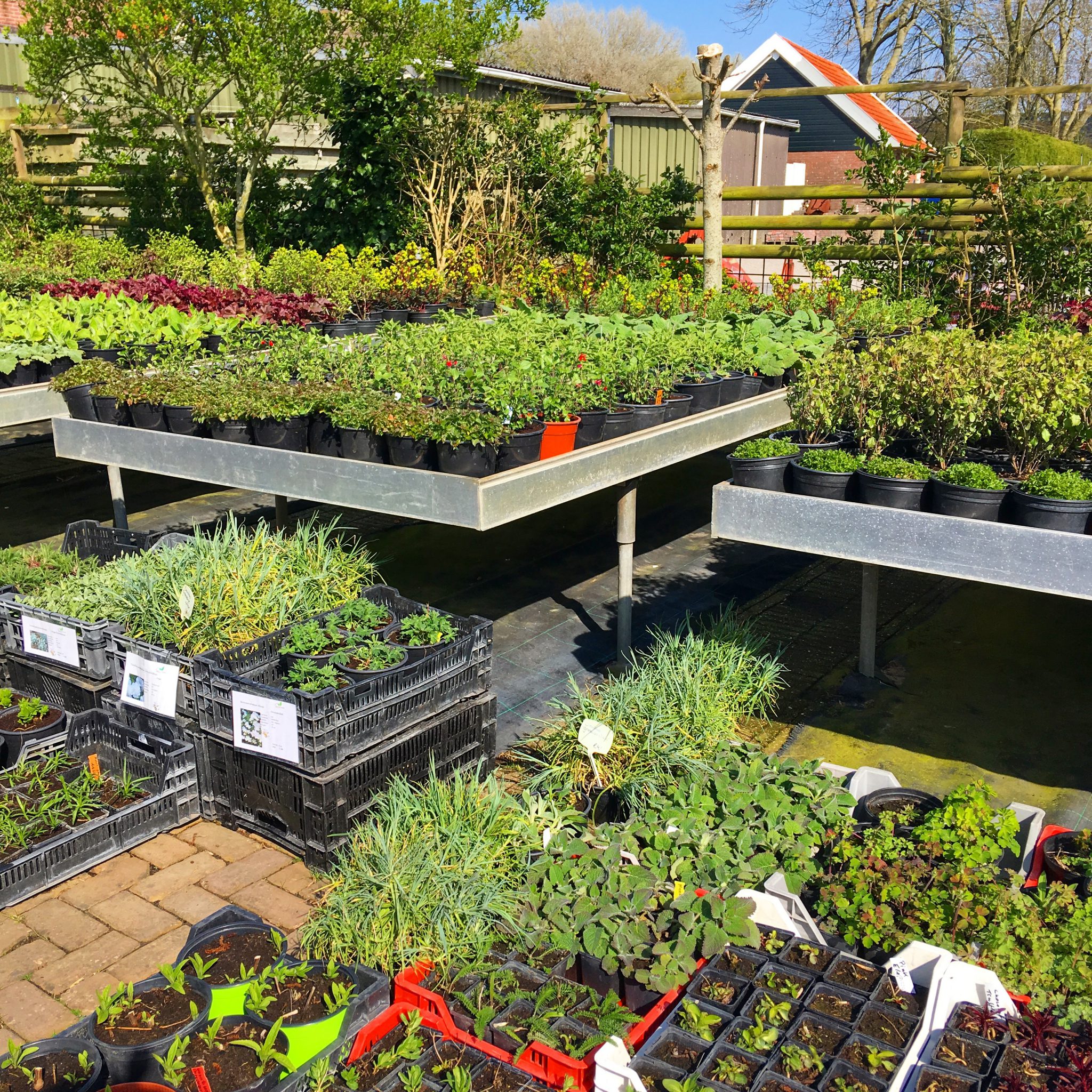 Tuinieren zonder groene vingers Om de tuin leiden