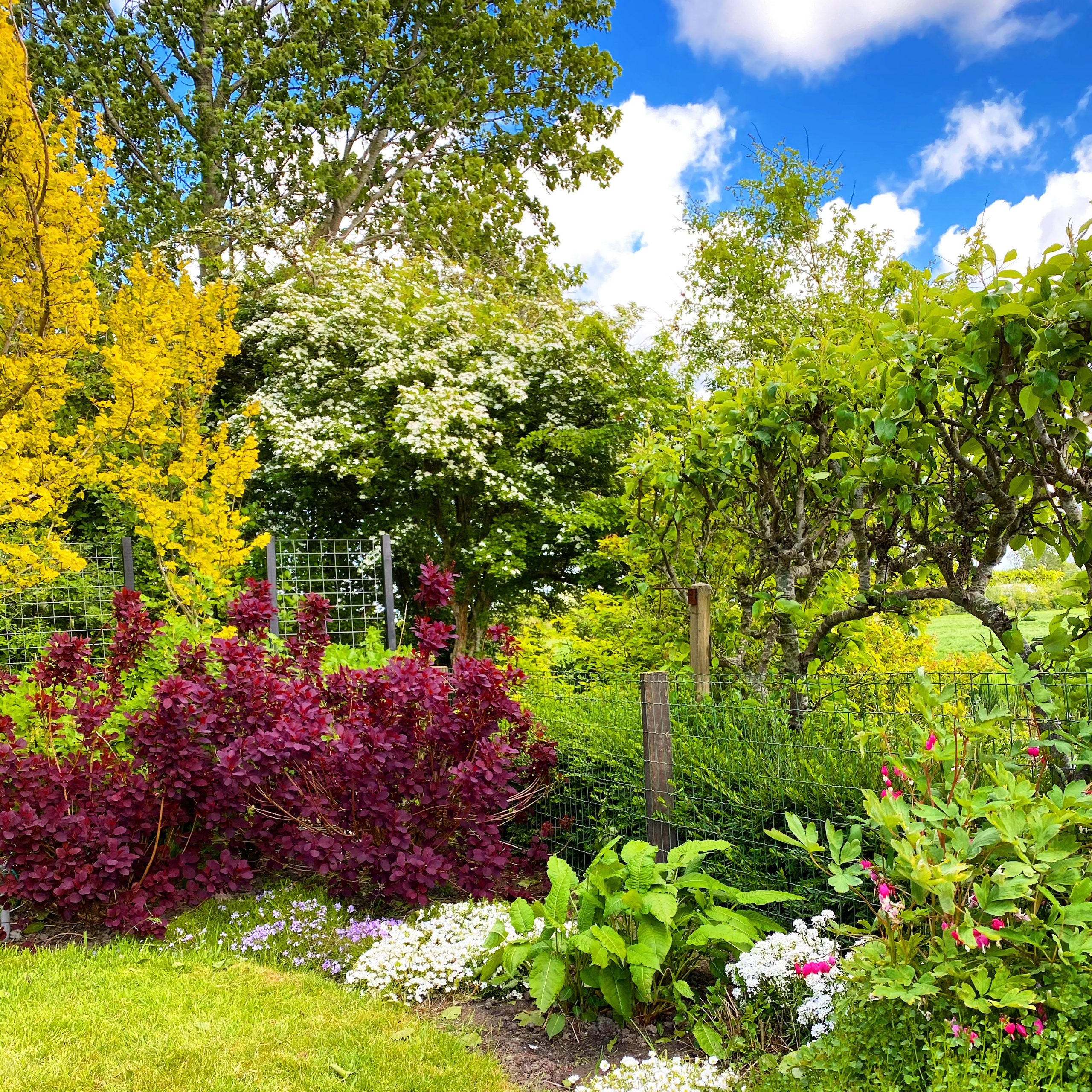 12 tips om jouw tuin vakantieproof te maken