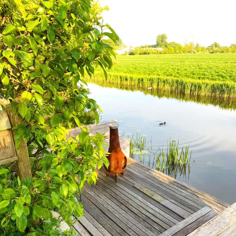 12 tips om jouw tuin vakantieproof te maken Om de tuin leiden